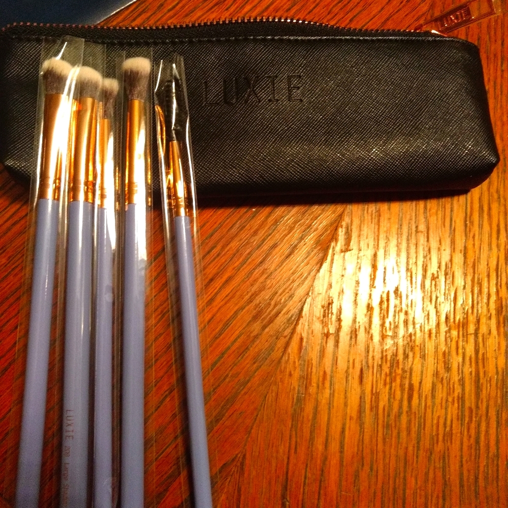 New Luxie 5 piece make up brush w/bag